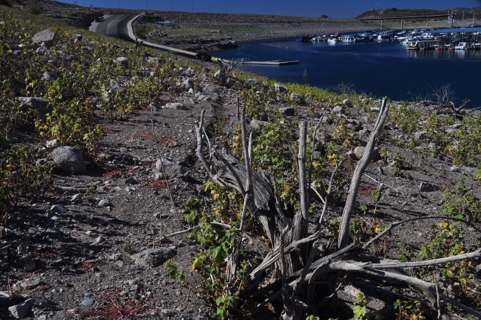 lake pleasant at low level